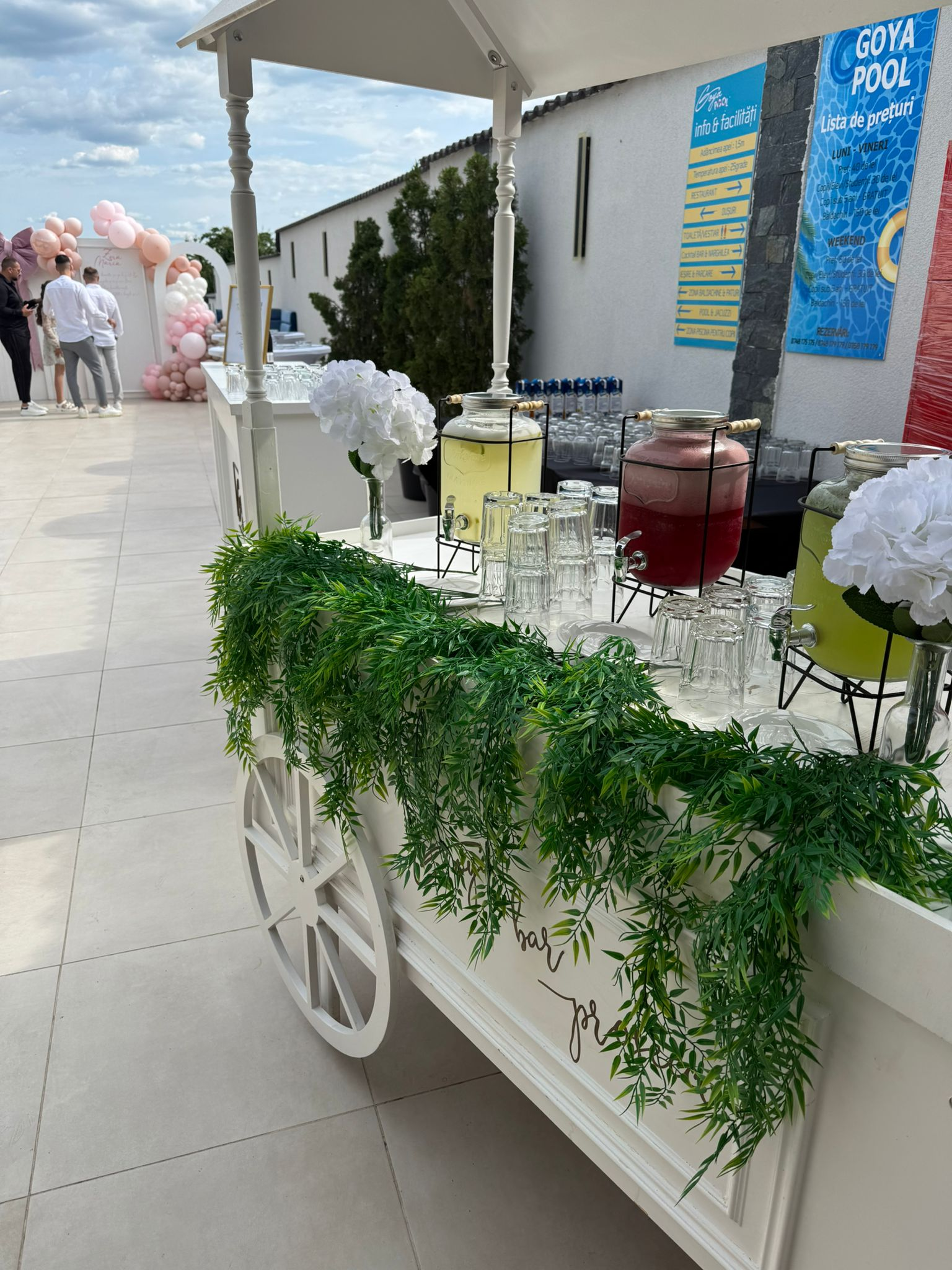 Lemonade Bar la Goya Events
